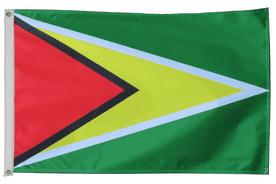 Guyana Flag with Eyelets