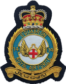 HAND-MADE GOLD WIRE MILITARY PATCHES (SPECIAL ORDER)