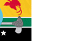 Hela Province Papua New Guinea Flag with Eyelets