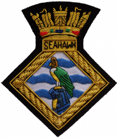HMS Seahawk RNAS Culdrose Fleet Air Arm FAA GOLD WIRED Blazer Embroidered Badge