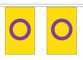Intersex Pride 10m Flag Bunting
