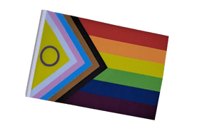 Intersex Progress Pride LGBTQ+ Small Craft Flag
