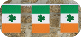 Ireland Shamrock Flag Bunting