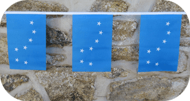 Ireland Starry Plough An Camchéachta Royal Blue Flag Bunting