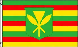Kanaka Maoli Hawaii Polyester 5'x3' Flag - WIGIG