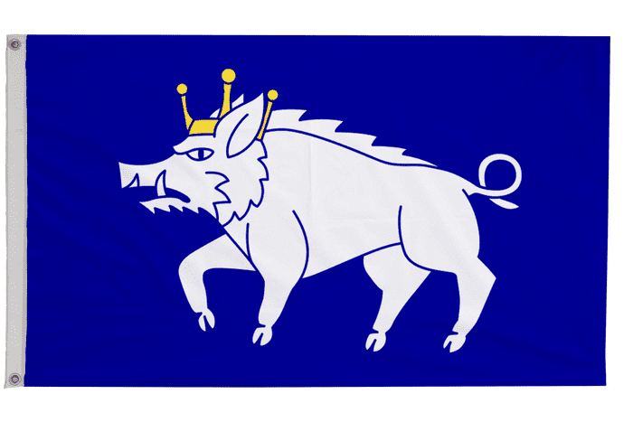 Kingswinford Flag with Eyelets