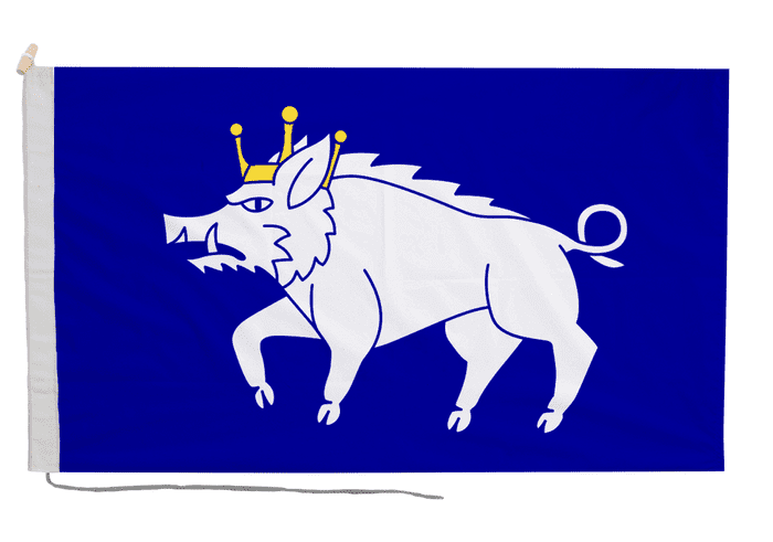 Kingswinford Flag with Rope & Toggle