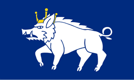 KINGSWINFORD TOWN FLAG PREMIUM COFFIN DRAPE (MADE TO ORDER)
