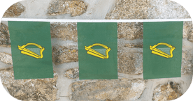 Leinster Flag Bunting