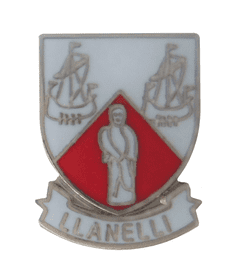 Llanelli Shield Pin Badge