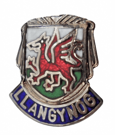 Llangynog Pin Badge