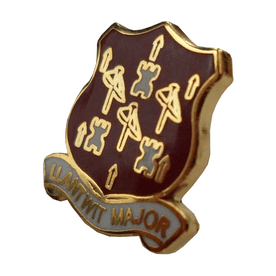 Llantwit Major Town Pin Badge