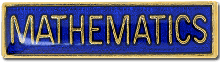 Mathematics Small Bar Blue Pin Badge