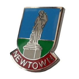 Newtown Town Pin Badge