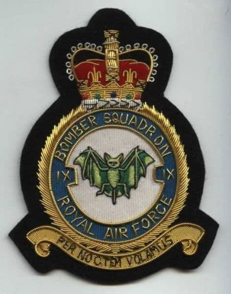 GBイギリス軍/英軍＊ＲＡＦ/空軍＊９Ｋ金製パイロットＷＩＮＧブローチ（実物） GBイギリス軍/英軍＊RAF/空軍＊9K金製パイロットWING