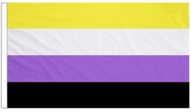 Non Binary Pride 18" x 12" (45cm x 30cm) Sleeved Boat Flag