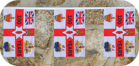Northern Ireland Centenary Flag Bunting