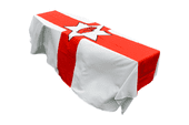 NORTHERN IRELAND COFFIN DRAPES