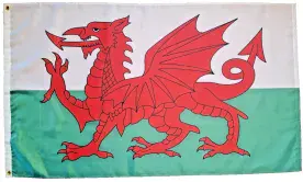 NYLON Wales 5'x3' (150cm x 90cm) - EXCLUSIVE