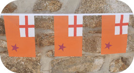 Orange Order Northern Ireland Flag Bunting