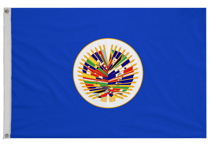 Organization of American States OAS Flag with Eyelets
