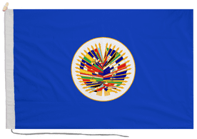 Organization of American States OAS Flag with Rope & Toggle