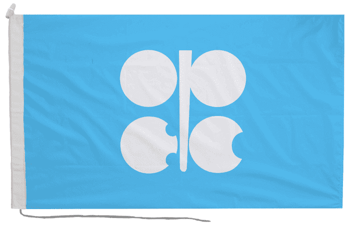 Organization of the Petroleum Exporting Countries OPEC Flag with Rope & Toggle