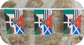 Pan Celtic Nations Flag Bunting