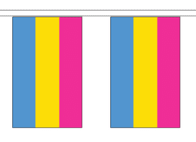 Pansexual Pride LGBTQ+ 5m Flag Bunting