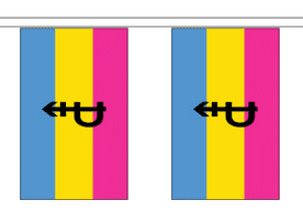 Pansexual Pride LGBTQ+ with Symbol 5m Flag Bunting