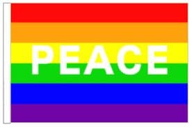 Peace Rainbow LGBTQ+ Gay Pride 18" x 12" (45cm x 30cm) Sleeved Boat Flag