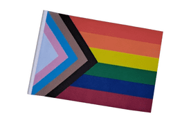 Progress Pride LGBTQ+ Small Craft Flag