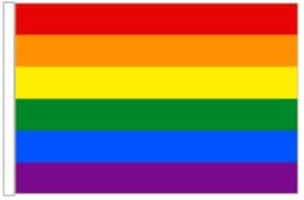 Rainbow LGBT Gay Pride 18" x 12" (45cm x 30cm) Sleeved Boat Flag