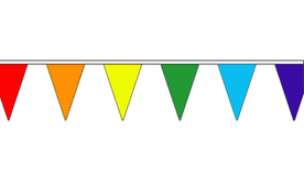 Rainbow LGBT Gay Pride Coloured Bunting 20m (66') Long With 48 Flags