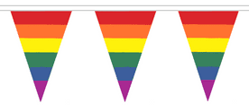 Rainbow LGBT Gay Pride Giant Triangle Polyester Bunting 12m