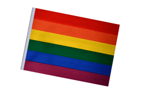 Rainbow Medium Small Craft Flag