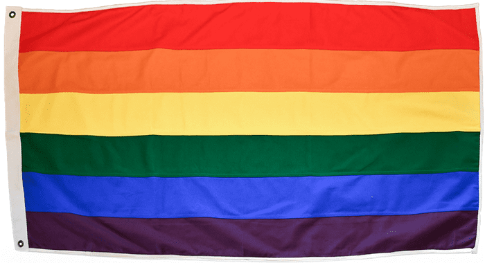 Rainbow Pride 150cm x 75cm Fully Sewn Large Cotton Flag - 2 Eyelets
