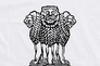Rajasthan India Flag with Eyelets