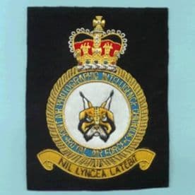 Royal Air Force RAF Joint Air Photographic Intelligence Centre (UK) GOLD WIRED Blazer Embroidered Badge