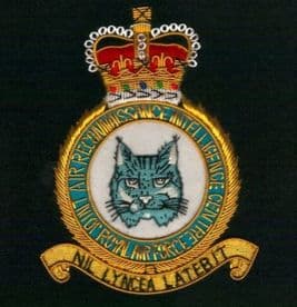 Royal Air Force RAF Joint Air Reconnaissance Intelligence Centre GOLD WIRED Blazer Embroidered Badge