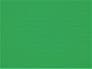 Saare County Saaremaa Estonia Polyester Flag