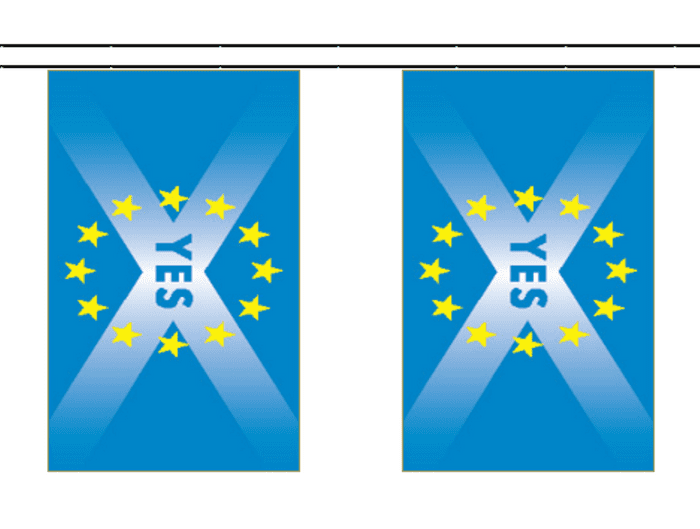 Scotland EU Membership 'YES' 10m Bunting