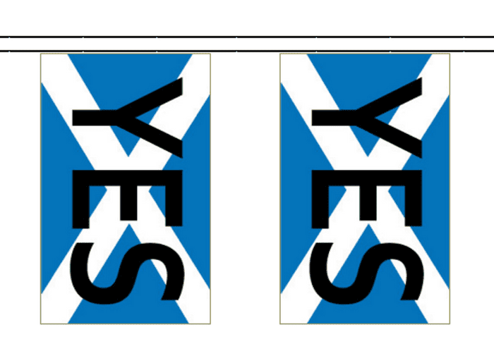 Scotland Independence Referendum Vote 'YES' 10m Bunting