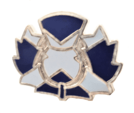 Scotland Saltire Thistle Large Pin Badge