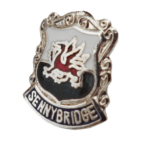 Sennybridge Town Pin Badge