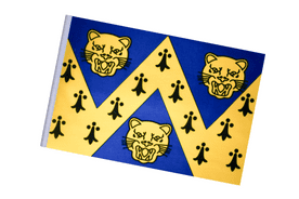 Shropshire County Small Craft Flag