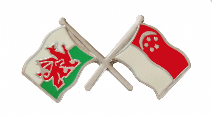 Singapore and Wales Friendship Flag Pin Badge