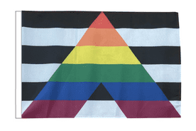 Straight Ally Pride 18" x 12" (45cm x 30cm) Sleeved Boat Flag