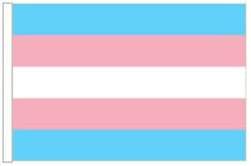 Transgender Pride 18" x 12" (45cm x 30cm) Sleeved Boat Flag