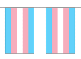 Transgender Pride 5m Flag Bunting